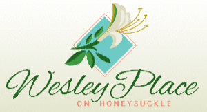 Wesley Place on Honeysuckle Nursing Center