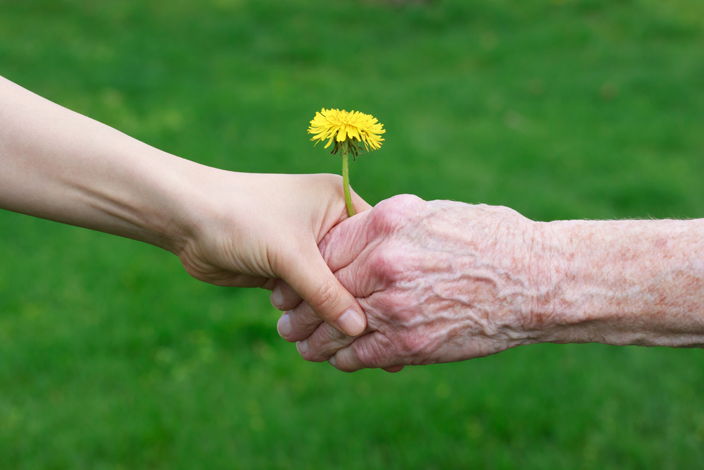 Carl R. Wilander, Esq. - Senior litigation partner specializing in nursing home abuse and neglect cases, with over $40 million in verdicts for clients.