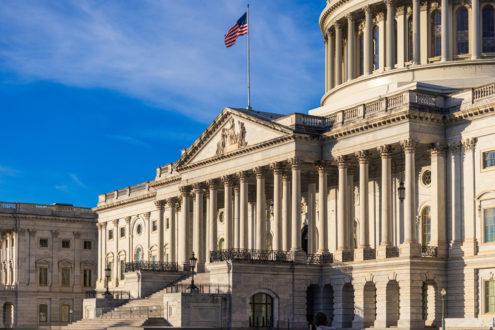 Federal vs. state elder abuse laws